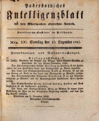 Paderbornsches Intelligenzblatt Samstag 13. Dezember 1845