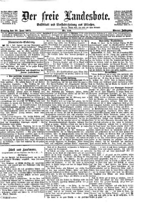 Der freie Landesbote Sonntag 29. Juni 1873