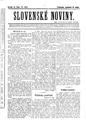 Slovenské noviny Montag 19. Mai 1873