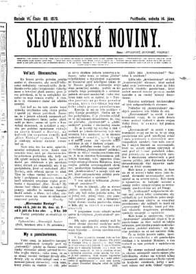Slovenské noviny Samstag 14. Juni 1873