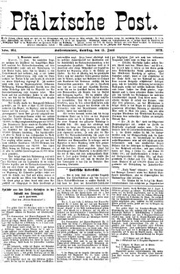 Pfälzische Post Samstag 15. Juni 1872