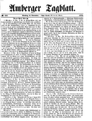 Amberger Tagblatt Dienstag 11. November 1873
