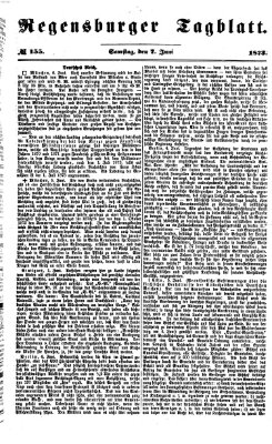Regensburger Tagblatt Samstag 7. Juni 1873