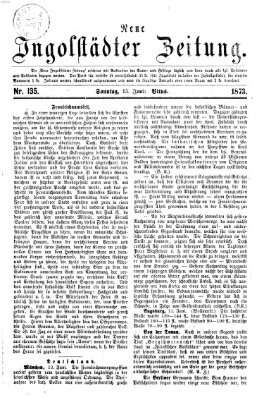 Neue Ingolstädter Zeitung Sonntag 15. Juni 1873