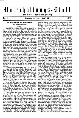 Neue Ingolstädter Zeitung Sonntag 30. Juni 1872