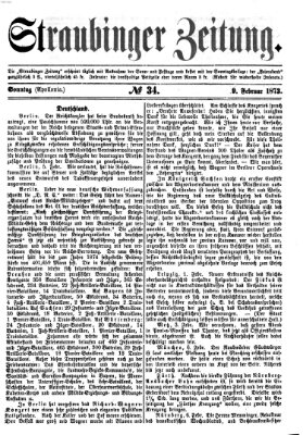 Straubinger Zeitung Sonntag 9. Februar 1873