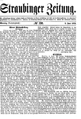 Straubinger Zeitung Sonntag 8. Juni 1873