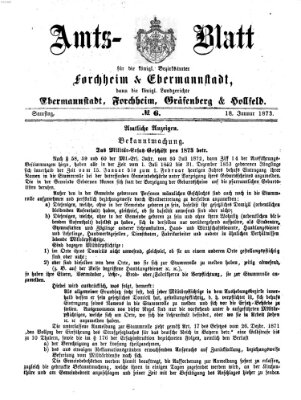 Amtsblatt für die Königlichen Bezirksämter Forchheim und Ebermannstadt sowie für die Königliche Stadt Forchheim Samstag 18. Januar 1873