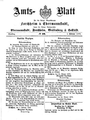 Amtsblatt für die Königlichen Bezirksämter Forchheim und Ebermannstadt sowie für die Königliche Stadt Forchheim Samstag 1. Februar 1873