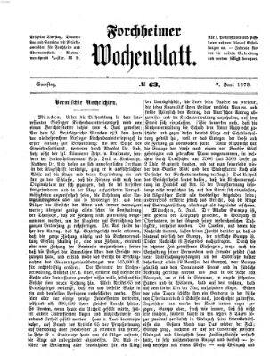 Amtsblatt für die Königlichen Bezirksämter Forchheim und Ebermannstadt sowie für die Königliche Stadt Forchheim Samstag 7. Juni 1873
