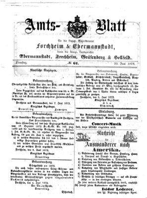 Amtsblatt für die Königlichen Bezirksämter Forchheim und Ebermannstadt sowie für die Königliche Stadt Forchheim Dienstag 10. Juni 1873