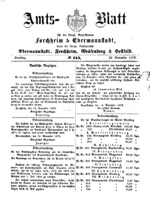 Amtsblatt für die Königlichen Bezirksämter Forchheim und Ebermannstadt sowie für die Königliche Stadt Forchheim Samstag 22. November 1873