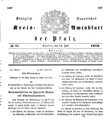 Königlich-bayerisches Kreis-Amtsblatt der Pfalz (Königlich bayerisches Amts- und Intelligenzblatt für die Pfalz) Samstag 13. Juli 1872
