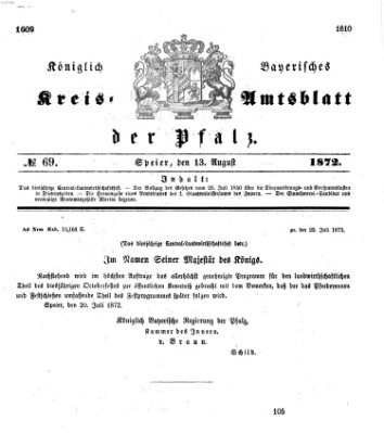 Königlich-bayerisches Kreis-Amtsblatt der Pfalz (Königlich bayerisches Amts- und Intelligenzblatt für die Pfalz) Dienstag 13. August 1872
