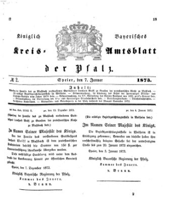 Königlich-bayerisches Kreis-Amtsblatt der Pfalz (Königlich bayerisches Amts- und Intelligenzblatt für die Pfalz) Dienstag 7. Januar 1873
