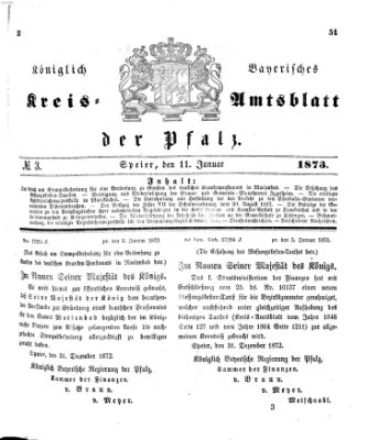 Königlich-bayerisches Kreis-Amtsblatt der Pfalz (Königlich bayerisches Amts- und Intelligenzblatt für die Pfalz) Samstag 11. Januar 1873