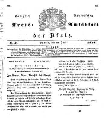 Königlich-bayerisches Kreis-Amtsblatt der Pfalz (Königlich bayerisches Amts- und Intelligenzblatt für die Pfalz) Mittwoch 18. Juni 1873