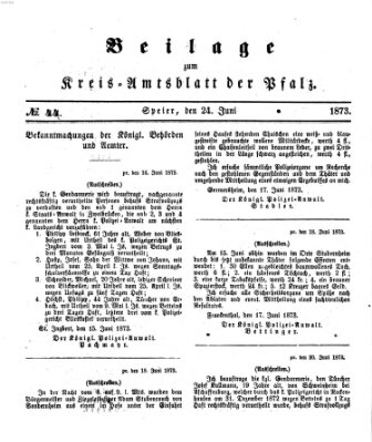 Königlich-bayerisches Kreis-Amtsblatt der Pfalz (Königlich bayerisches Amts- und Intelligenzblatt für die Pfalz) Dienstag 24. Juni 1873