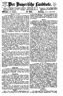 Der Bayerische Landbote Sonntag 8. Juni 1873