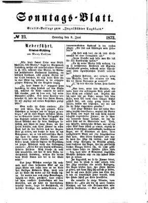Ingolstädter Tagblatt Sonntag 8. Juni 1873