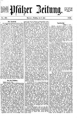 Pfälzer Zeitung Dienstag 3. Juni 1873