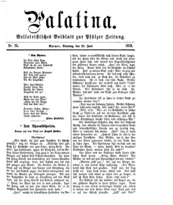 Palatina (Pfälzer Zeitung) Dienstag 24. Juni 1873