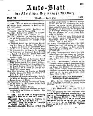 Amtsblatt für den Regierungsbezirk Arnsberg Samstag 8. Juni 1872