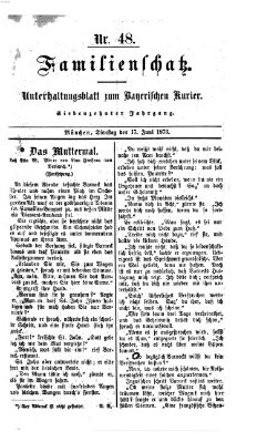 Familienschatz (Bayerischer Kurier) Dienstag 17. Juni 1873