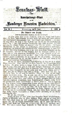 Bamberger neueste Nachrichten Sonntag 8. Juni 1873