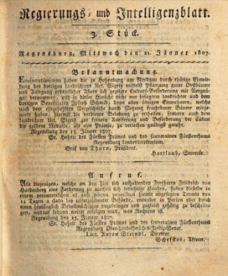 Regierungs- und Intelligenzblatt (Regensburger Wochenblatt)