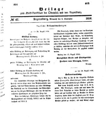 Königlich-bayerisches Kreis-Amtsblatt der Oberpfalz und von Regensburg (Königlich bayerisches Intelligenzblatt für die Oberpfalz und von Regensburg) Sonntag 3. August 1856