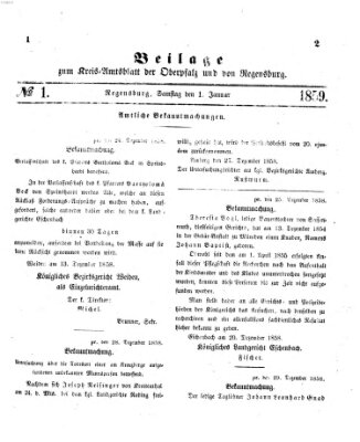 Königlich-bayerisches Kreis-Amtsblatt der Oberpfalz und von Regensburg (Königlich bayerisches Intelligenzblatt für die Oberpfalz und von Regensburg) Samstag 1. Januar 1859