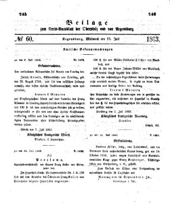 Königlich-bayerisches Kreis-Amtsblatt der Oberpfalz und von Regensburg (Königlich bayerisches Intelligenzblatt für die Oberpfalz und von Regensburg) Mittwoch 15. Juli 1863