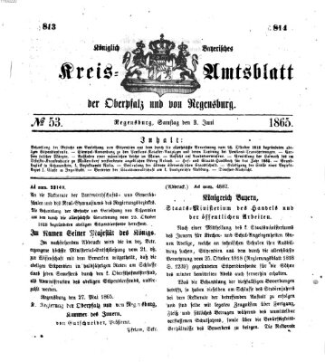 Königlich-bayerisches Kreis-Amtsblatt der Oberpfalz und von Regensburg (Königlich bayerisches Intelligenzblatt für die Oberpfalz und von Regensburg) Samstag 3. Juni 1865
