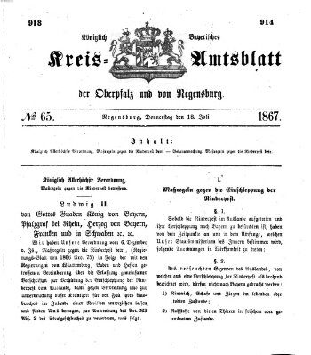 Königlich-bayerisches Kreis-Amtsblatt der Oberpfalz und von Regensburg (Königlich bayerisches Intelligenzblatt für die Oberpfalz und von Regensburg) Donnerstag 18. Juli 1867