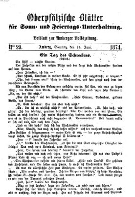 Oberpfälzische Blätter für Sonn- und Feiertags-Unterhaltung (Amberger Volks-Zeitung für Stadt und Land) Sonntag 14. Juni 1874