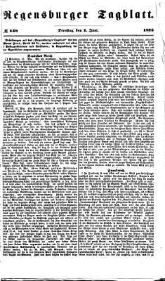 Regensburger Tagblatt Dienstag 1. Juni 1875