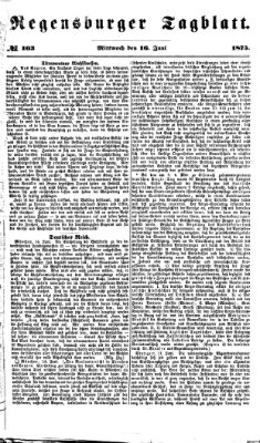 Regensburger Tagblatt Mittwoch 16. Juni 1875