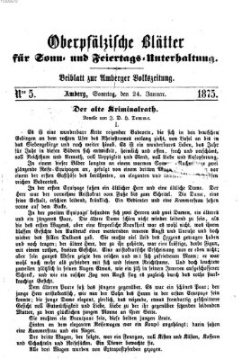 Oberpfälzische Blätter für Sonn- und Feiertags-Unterhaltung (Amberger Volks-Zeitung für Stadt und Land) Sonntag 24. Januar 1875