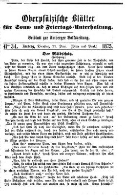 Oberpfälzische Blätter für Sonn- und Feiertags-Unterhaltung (Amberger Volks-Zeitung für Stadt und Land) Dienstag 29. Juni 1875