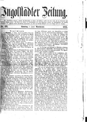 Ingolstädter Zeitung (Neue Ingolstädter Zeitung) Samstag 5. Juni 1875
