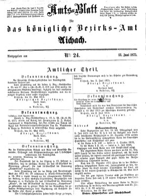 Amtsblatt für das Bezirksamt und Amtsgericht Aichach Sonntag 13. Juni 1875
