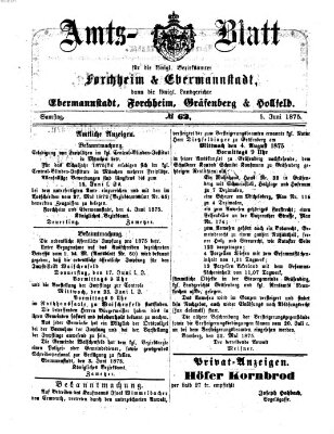 Amtsblatt für die Königlichen Bezirksämter Forchheim und Ebermannstadt sowie für die Königliche Stadt Forchheim Samstag 5. Juni 1875