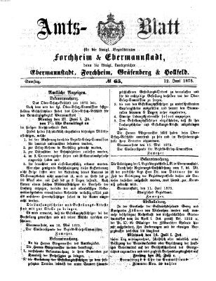 Amtsblatt für die Königlichen Bezirksämter Forchheim und Ebermannstadt sowie für die Königliche Stadt Forchheim Samstag 12. Juni 1875