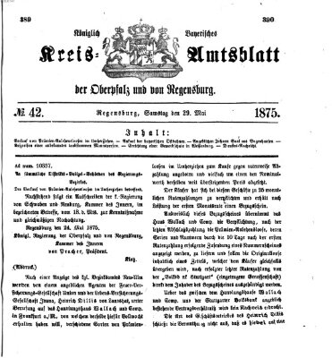 Königlich-bayerisches Kreis-Amtsblatt der Oberpfalz und von Regensburg (Königlich bayerisches Intelligenzblatt für die Oberpfalz und von Regensburg) Samstag 29. Mai 1875