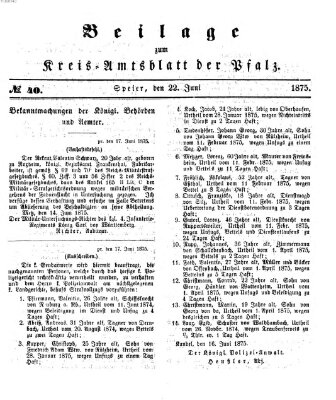 Königlich-bayerisches Kreis-Amtsblatt der Pfalz (Königlich bayerisches Amts- und Intelligenzblatt für die Pfalz) Dienstag 22. Juni 1875