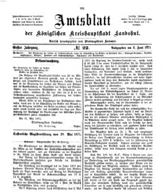 Amtsblatt der Stadt Landshut Mittwoch 2. Juni 1875