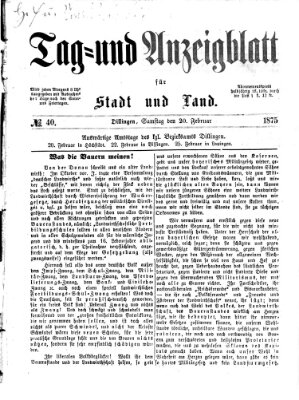 Tag- und Anzeigblatt für Stadt und Land (Tagblatt für die Städte Dillingen, Lauingen, Höchstädt, Wertingen und Gundelfingen) Samstag 20. Februar 1875