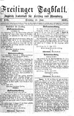 Freisinger Tagblatt (Freisinger Wochenblatt) Sonntag 13. Juni 1875