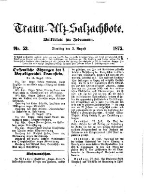 Traun-Alz-Salzachbote Dienstag 3. August 1875